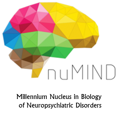 Logo Numind - Redbionova