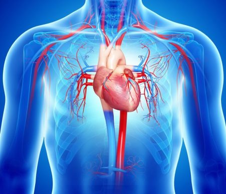 insuficiencia-cardiaca-1 - Redbionova