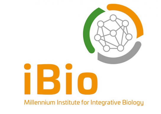 iBio - Redbionova